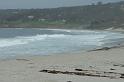 Carmel 10-30-08 240